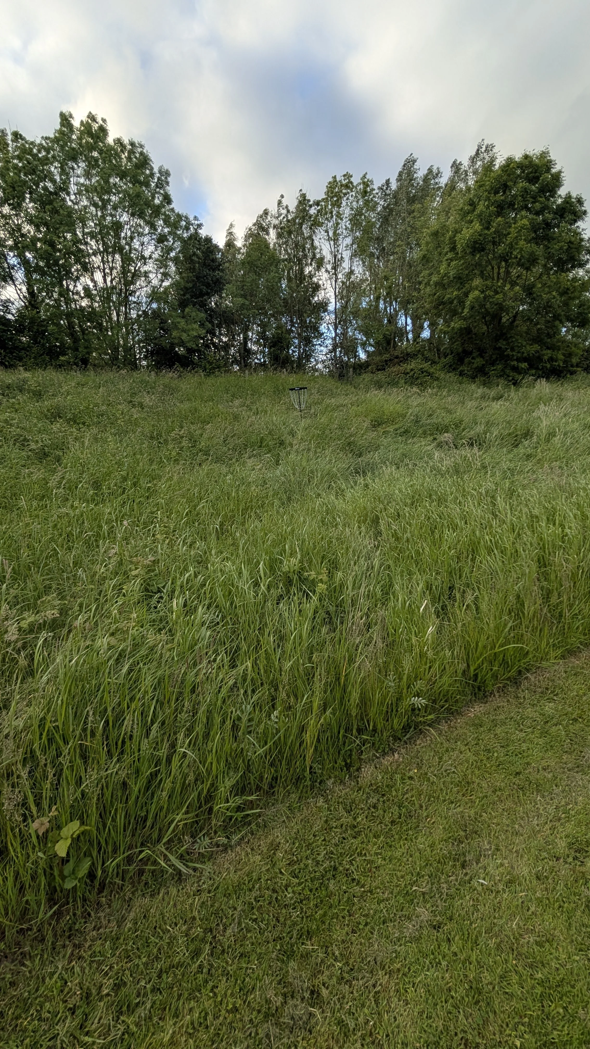 PXL_20260612_191332298.jpg