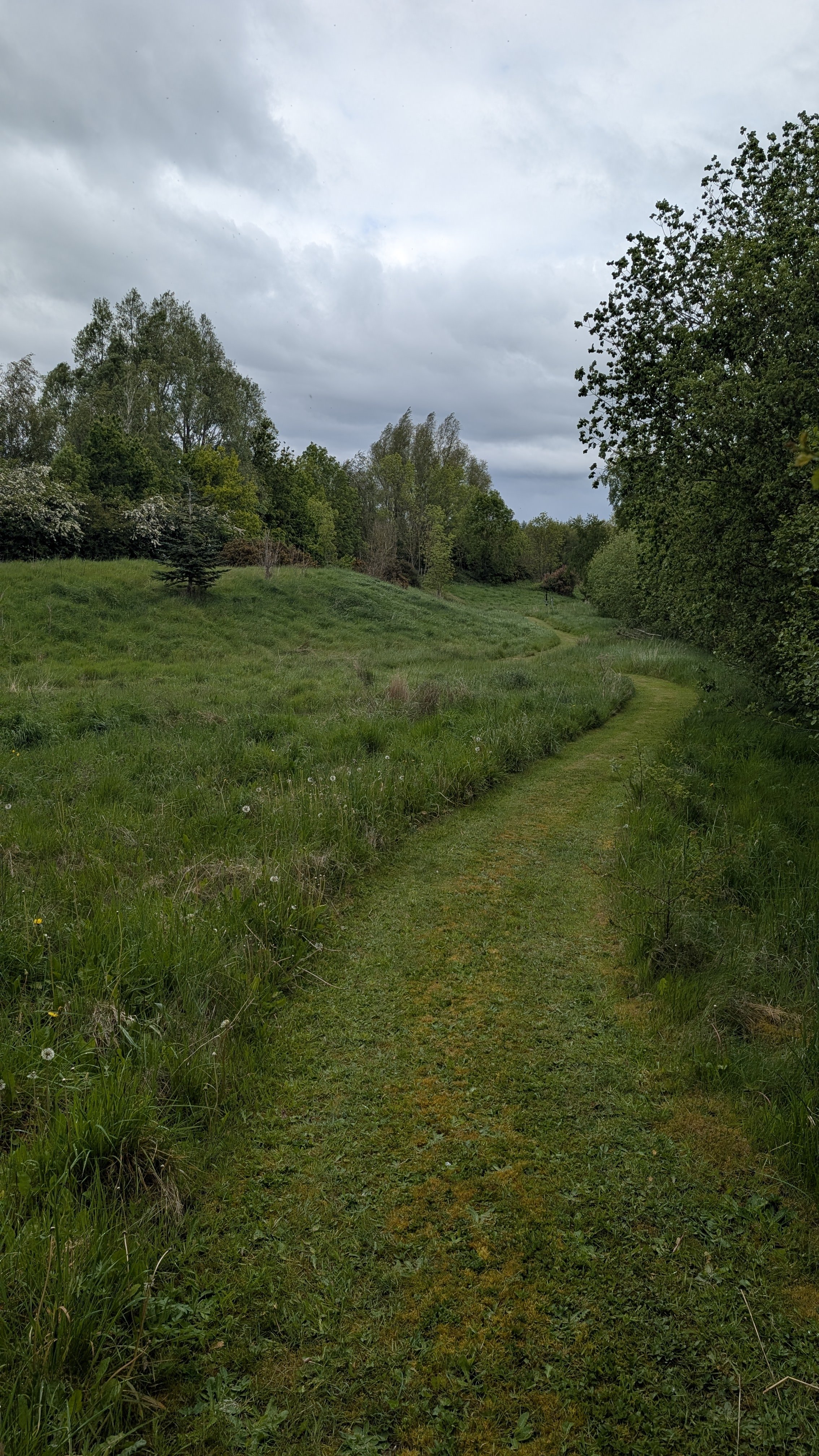 PXL_20260516_152049657.jpg