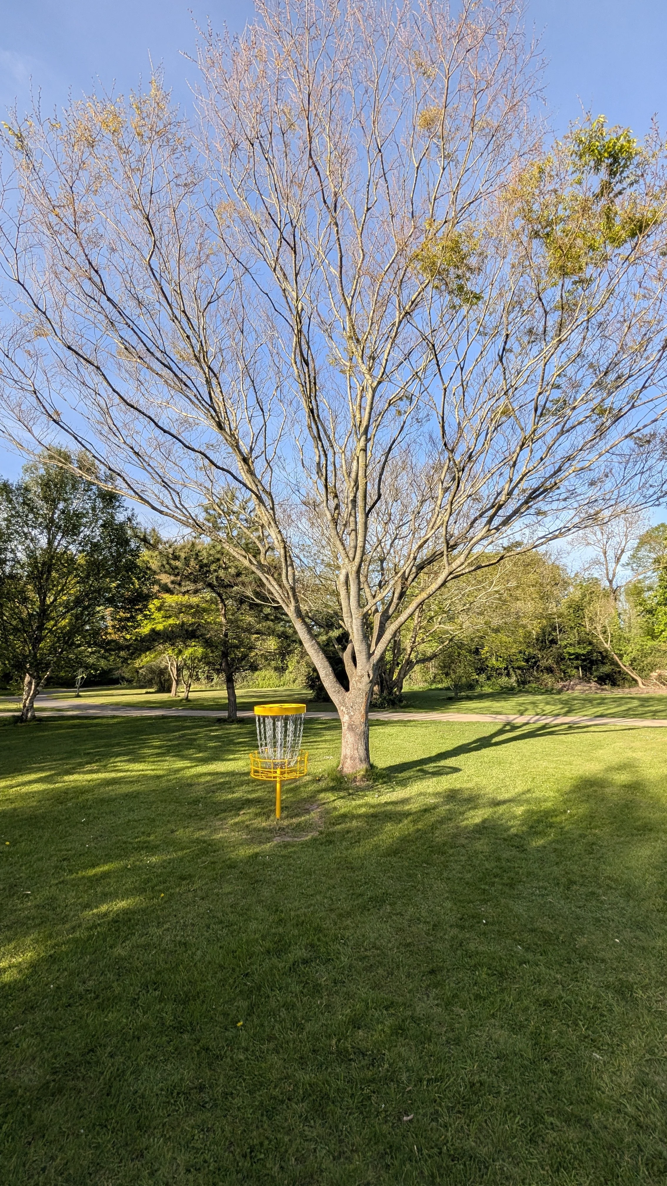 PXL_20260424_172222572.jpg