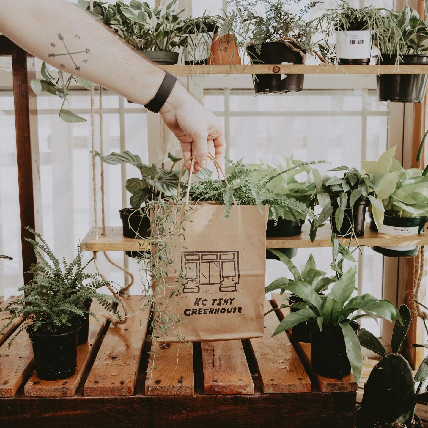 So much happening this weekend! @kctinygreenhouse will be with us from 8-2 tomorrow. Come by and snag a plant or two🌿

We&rsquo;ll also have @courtneypkelly, a local baker selling sourdough and all sorts of yummy breads.

Lastly, starting tomorrow w