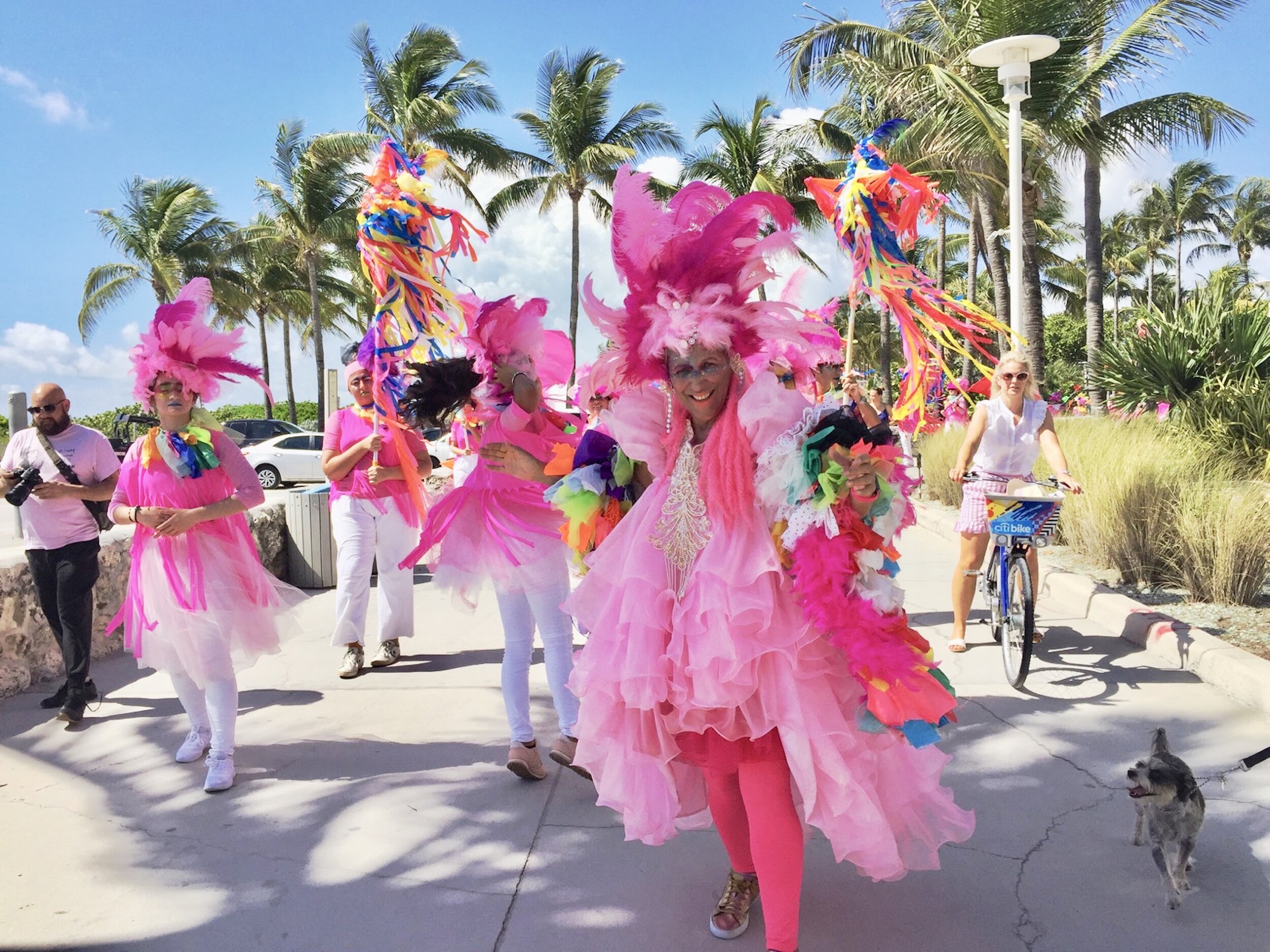 Miami Beach Rara - Lummus Park, Miami Beach 2019