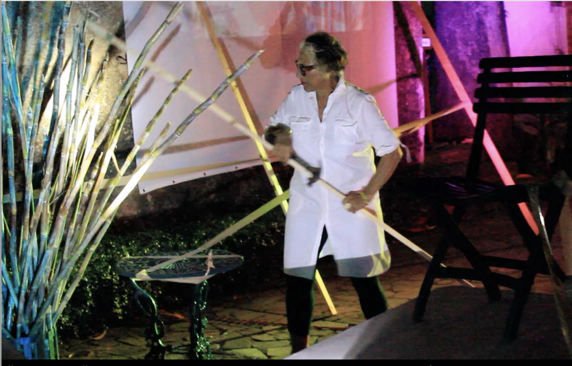 ”Snake Bite” 2015, Index-Santo Domingo, Miami, Puerto Rico Performance Festival, Santo Domingo, Dom. Rep. Quinta Dominica