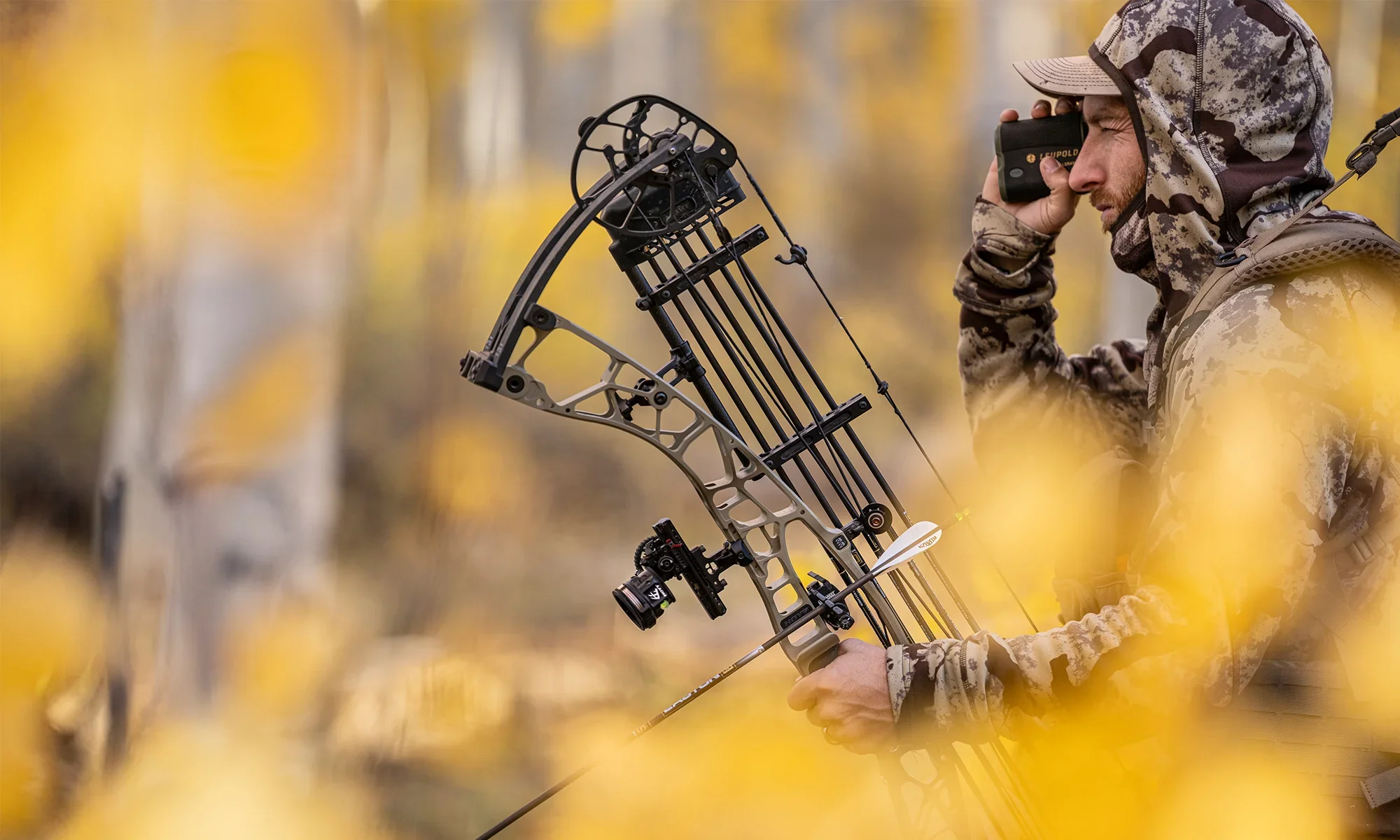 Hoyt_Lead.webp