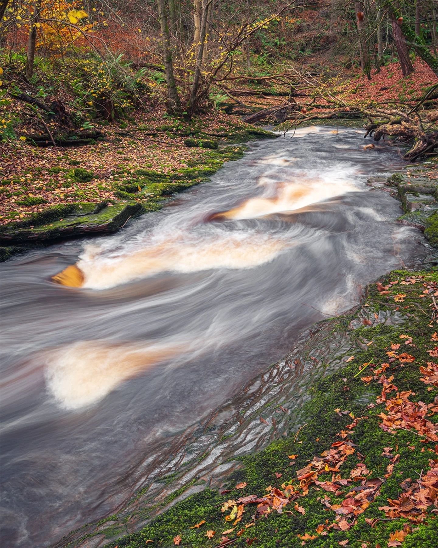 My favorite forest&mdash;Gelt Wood. 🌲💧 The sound of rushing water soothes my senses, and the view is pure relaxation. In these moments, I forget that time exists. 🌿✨

M&oacute;j ulubiony las &mdash; Gelt Wood. 🌲💧 Dźwięk burzliwie przelewającej s