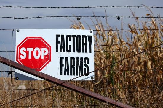 EPA “misses the moment” to address mounting factory farm pollution crisis