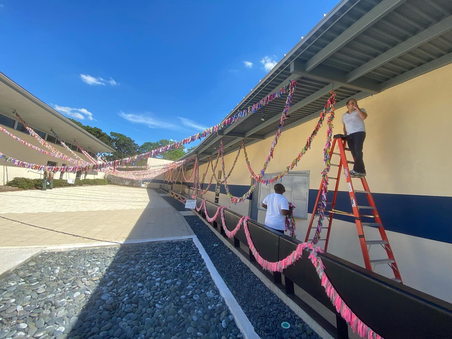 Installing 17,000 more ribbons for that many Covid deaths in Florida last 3 months. Event tonight @creativepinellas 6 pm, Largo, FL #covidribbonmemorial