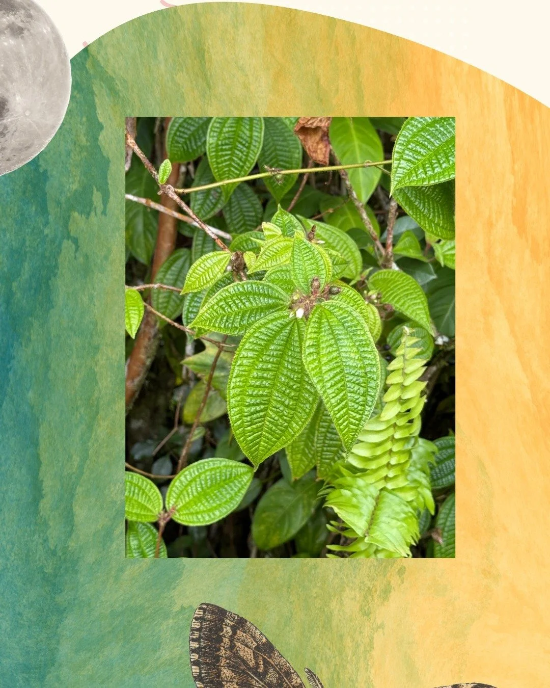 This spiral of learning never ends. I&rsquo;ve just returned from two months in Hawaii, where I lived into my dream of experiencing a full breadth of what life has to offer. What I&rsquo;ve come back with is this: I am still learning. Still being sha