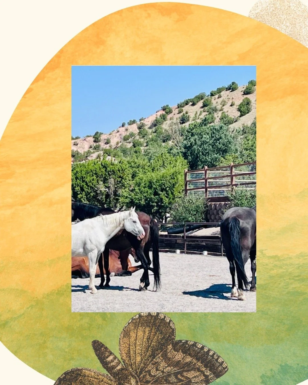 Fifteen years ago, I was introduced to the EQUUS experience while working in government. I had no idea how profoundly that moment would shape my leadership journey. Back then, I was being guided&mdash;learning to listen without words, to lead without