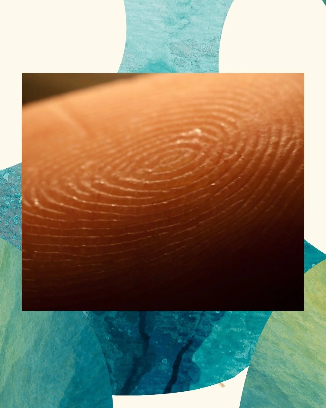 In the public sector and mission-driven work, complexity is part of the landscape. Regulations, funding cycles, public scrutiny, none of that is going away. 

What I&rsquo;ve seen get overlooked is the human side of the equation. Teams are made of pe