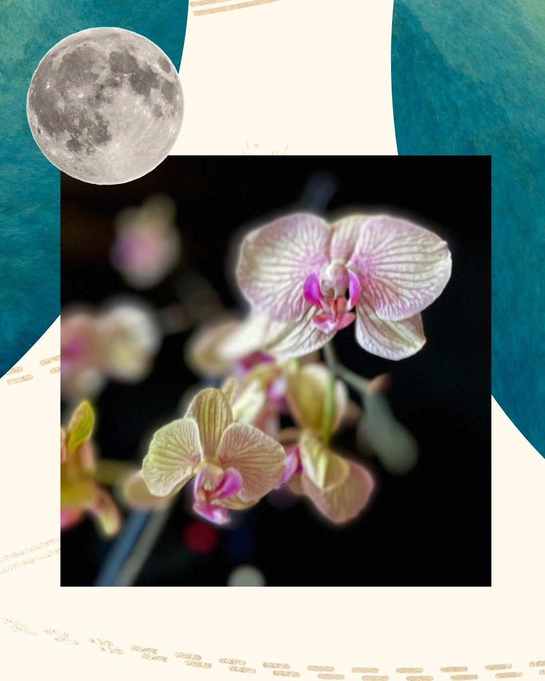 One of the most common patterns I see, after decades inside and alongside government work, is this: something is built beautifully, a strategic plan, a platform, a new process, and then it quietly fades. Not because it wasn't good. Because ownership 