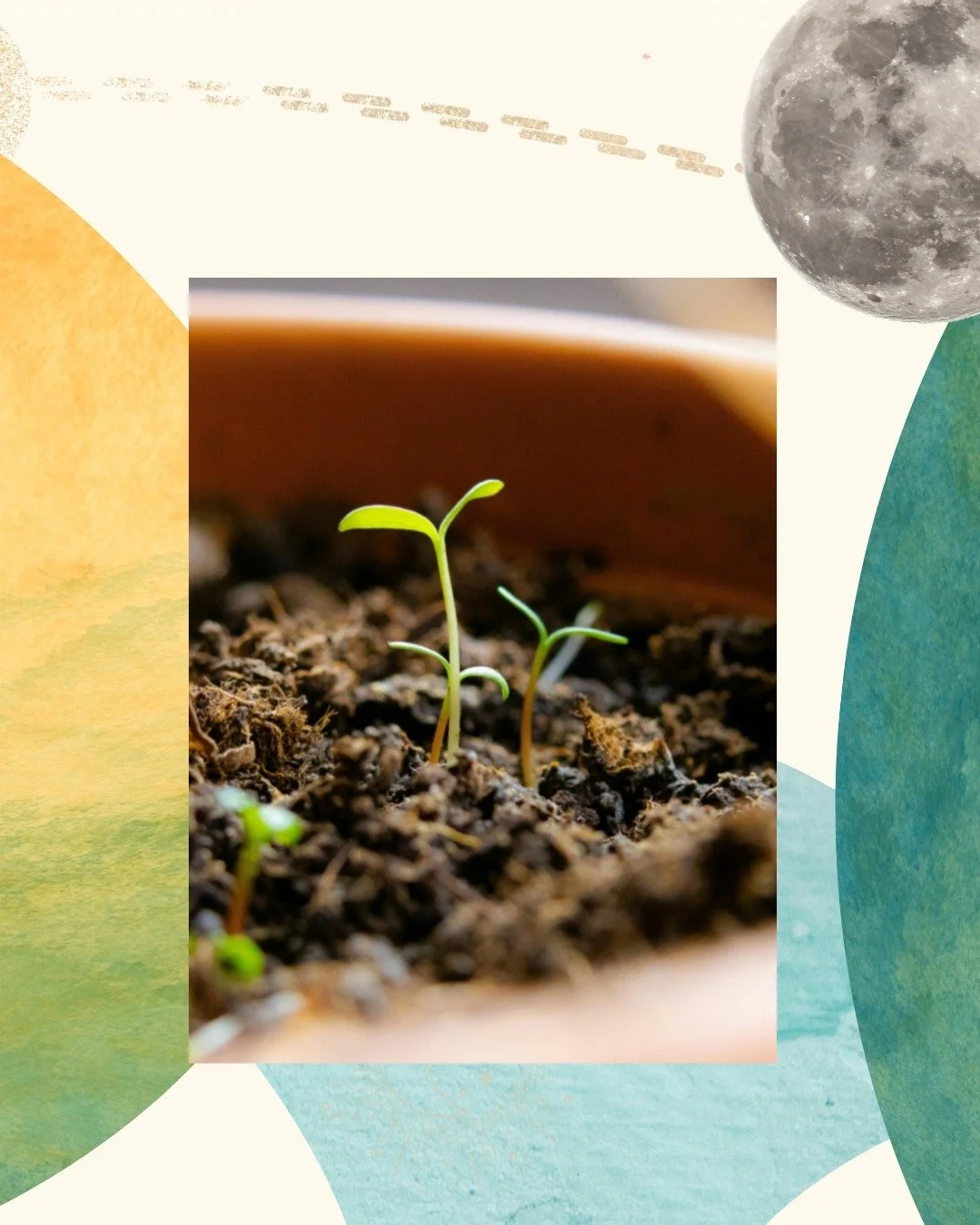 In a hurry to bloom?

No, not me... Not yet. During the past winter, something underneath the surface changed and I want to know what that is before I rush into whatever comes next.

Allow this, to serve as a reminder that it is okay to take your tim