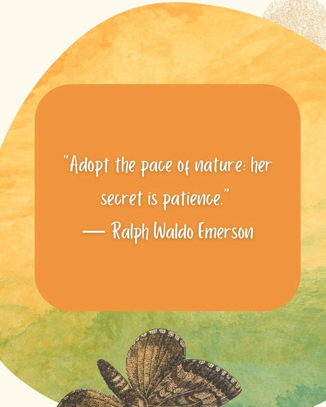 "Adopt the pace of nature: her secret is patience." &mdash; Ralph Waldo Emerson

#NatureQuotes #RalphWaldoEmerson #EmersonQuotes #SlowLiving #PatienceIsKey #MindfulLiving #NatureLover #QuoteOfTheDay #InspirationalQuotes #StillnessSpeaks #Na