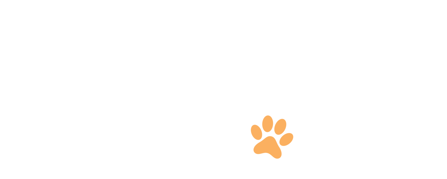 Shootmydog.ie