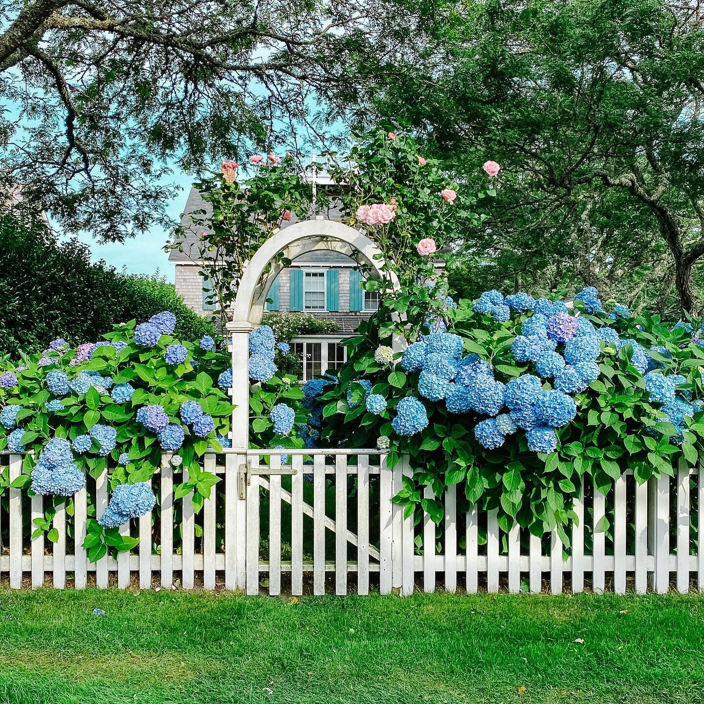 Where are some places you&rsquo;d love to travel to in the summer? Our son @_noahblack just got back from Nantucket, and after  seeing all the beautiful photos he sent us, we are adding it to our list of places to travel to! Endless hydrangeas and be