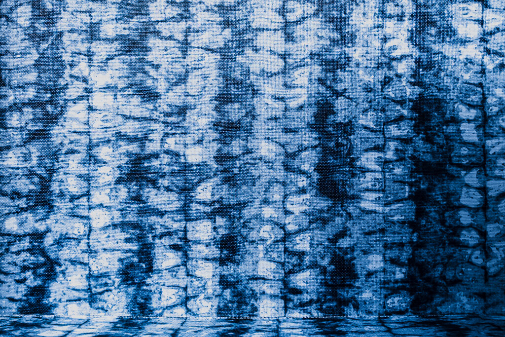 DSCF8759.jpg