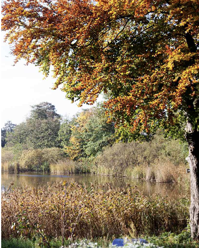 Skærmbillede 2025-07-06 kl. 13.04.57.png