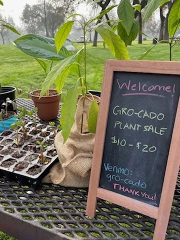 Greenhaven, Pocket & Land Park Farmers Market