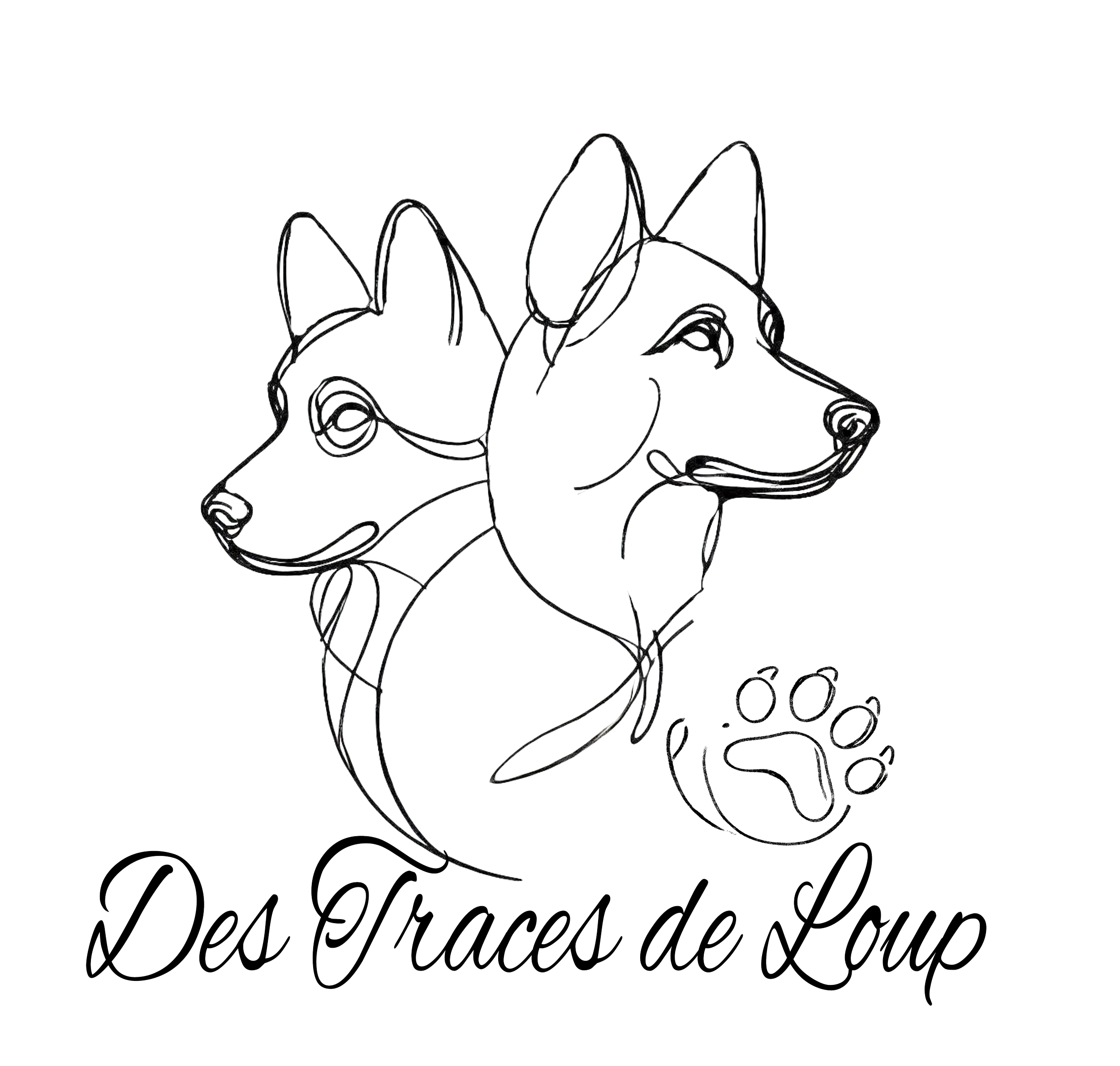 Réservation d'un chiot — Elevage des Traces de Loup, image size:2500x2380