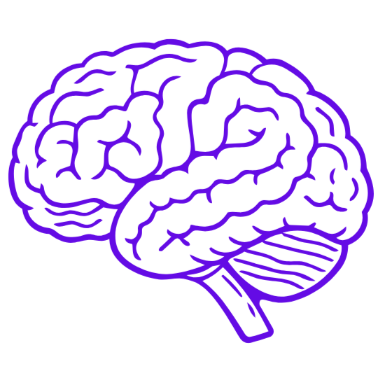 understanding the adolescent brain: what youth workers need to know