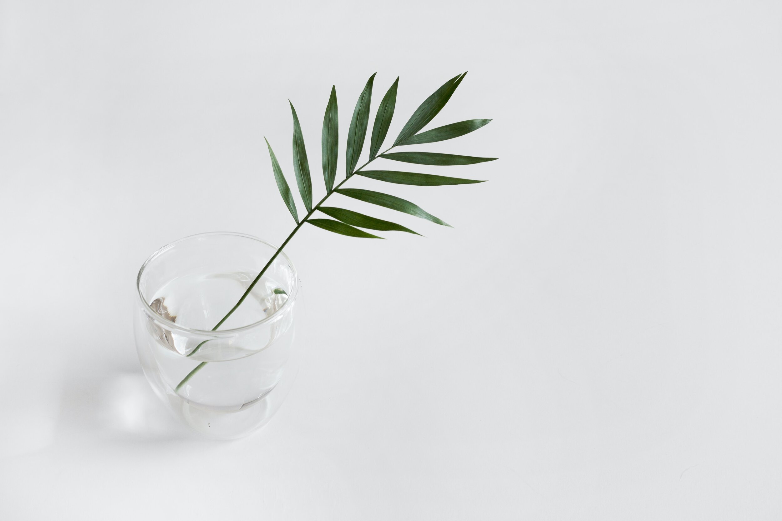 Do what makes you happy: My minimalist decor style