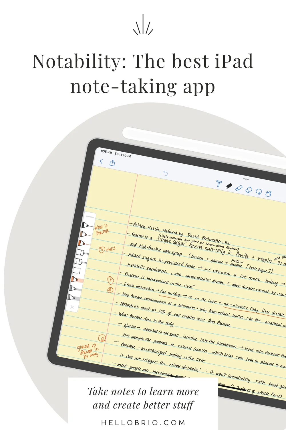 The best handwriting notetaking app for the iPad Notability — Hello Brio