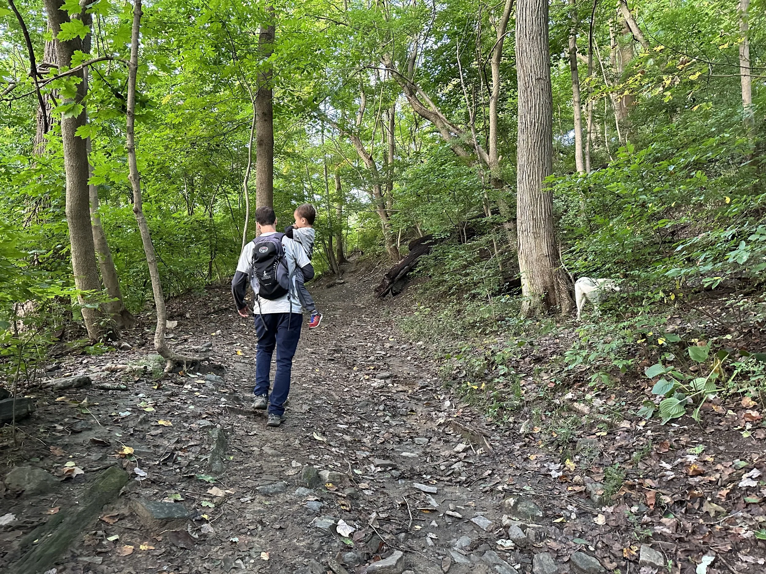 Ellipses, May 3… the internet isn’t magic