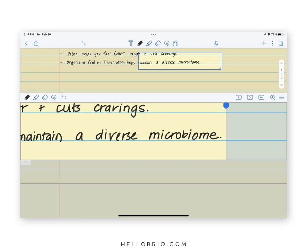The best handwriting note-taking app for the iPad: Notability — Hello Brio