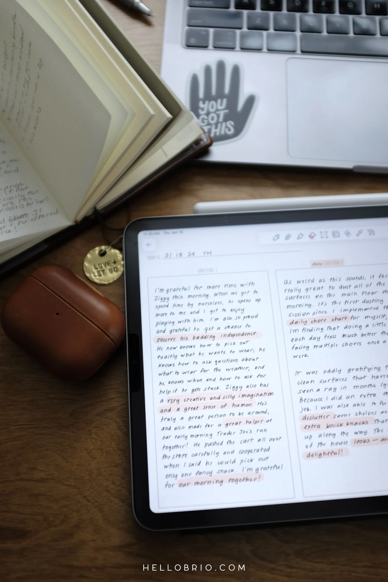 How to Keep a Digital Journal on Your iPad in 2024 Best App for