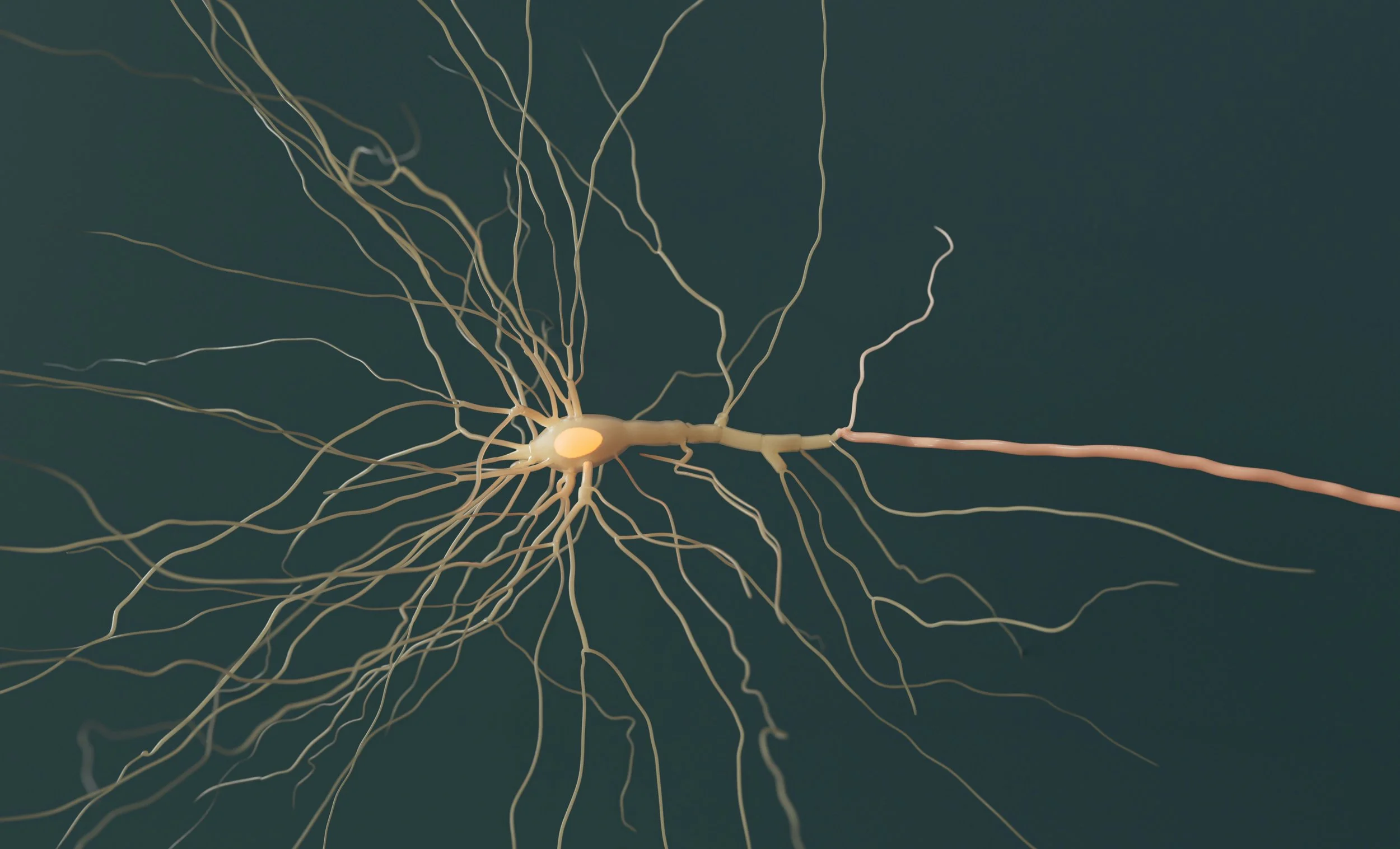 Awake and Alive at the Death of Social Media