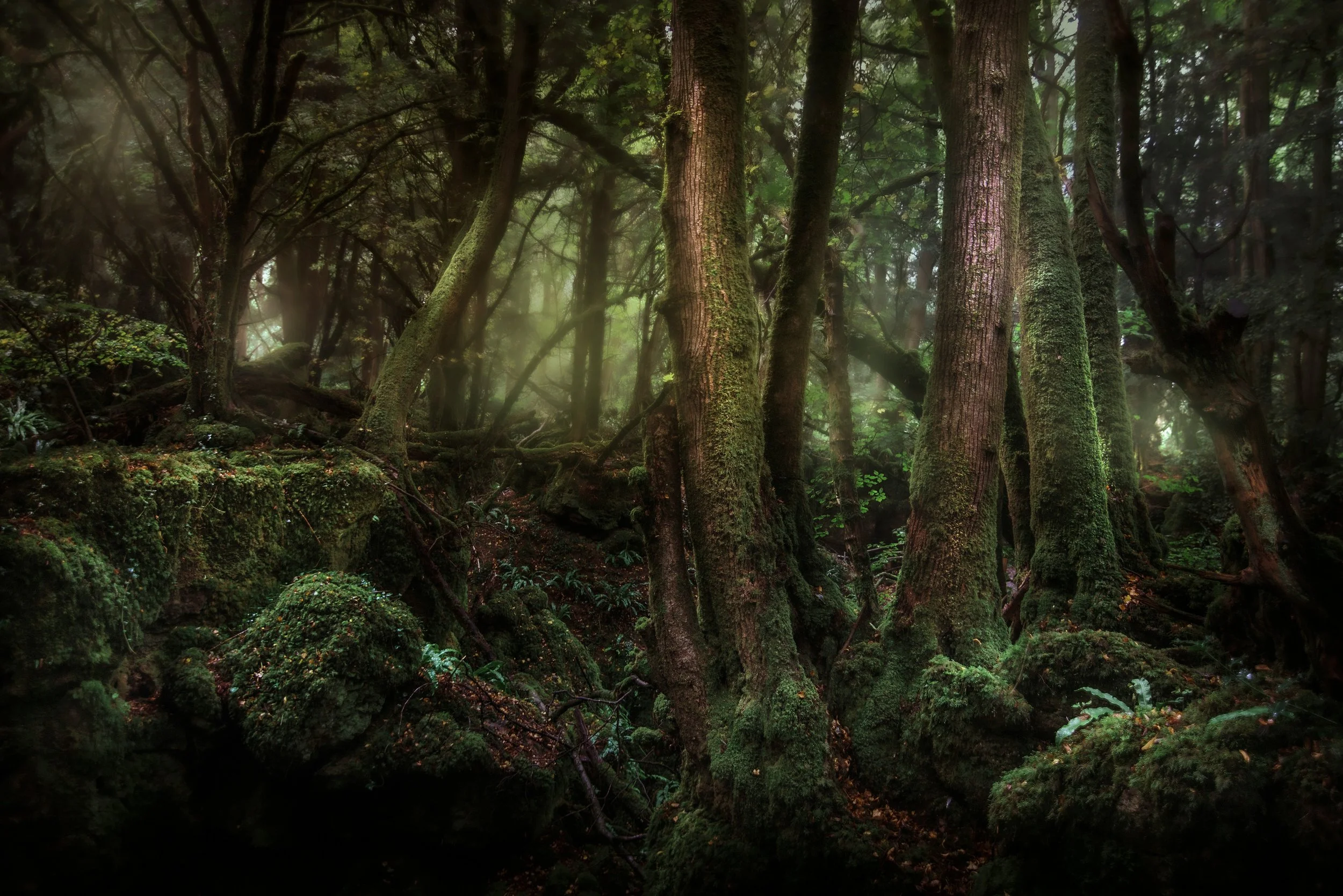 Into the Dark, Unafraid
