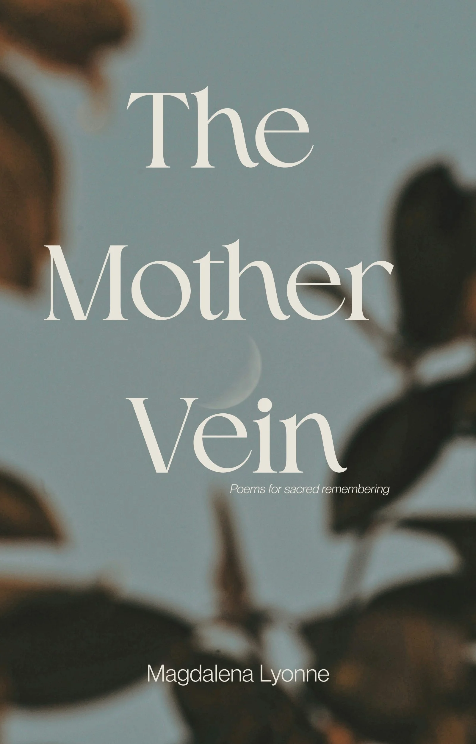 The Mother Vein eBook