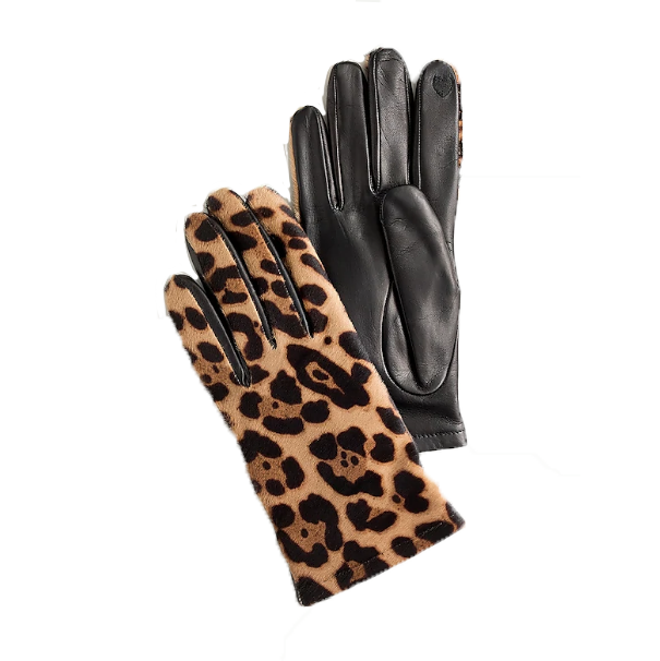 Screen Shot 2021-03-03 at 11.59.08 AM.png