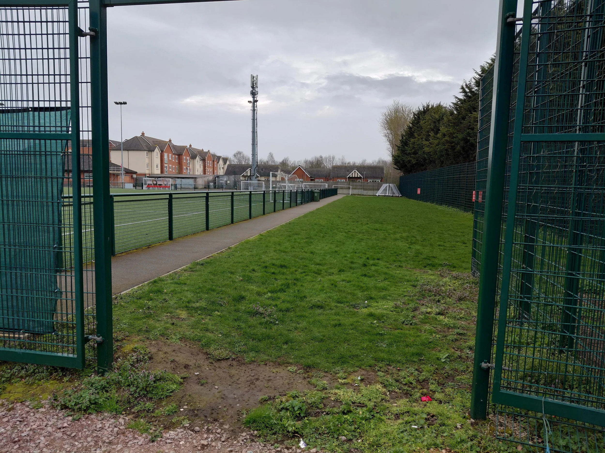 NEWS: Ground Improvements