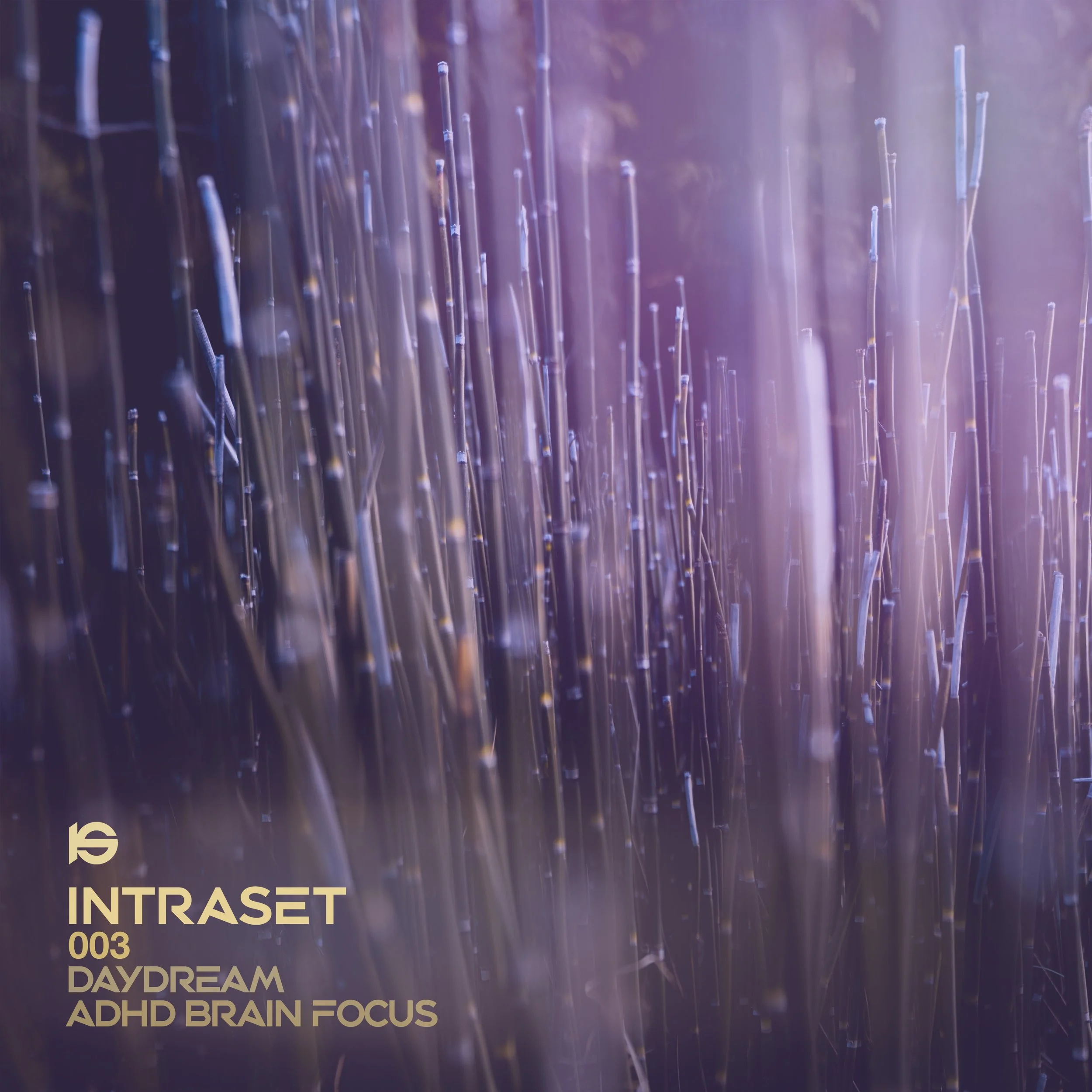 003 Artwork Final.jpg