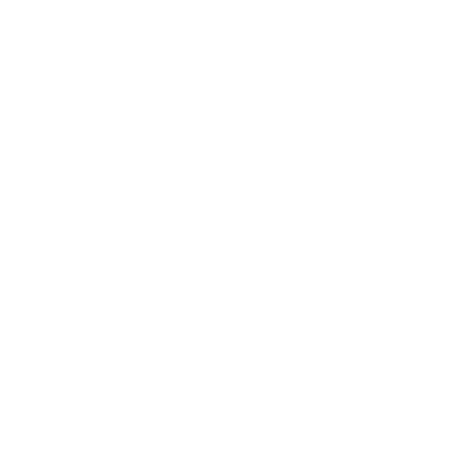 The Theater Bug