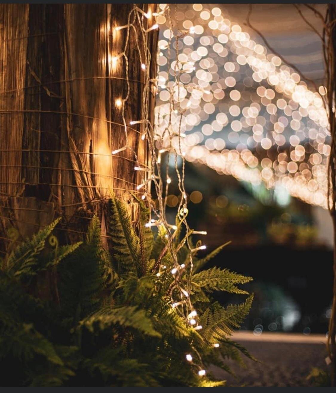 Poppy_Floral_Design_Events1.jpeg