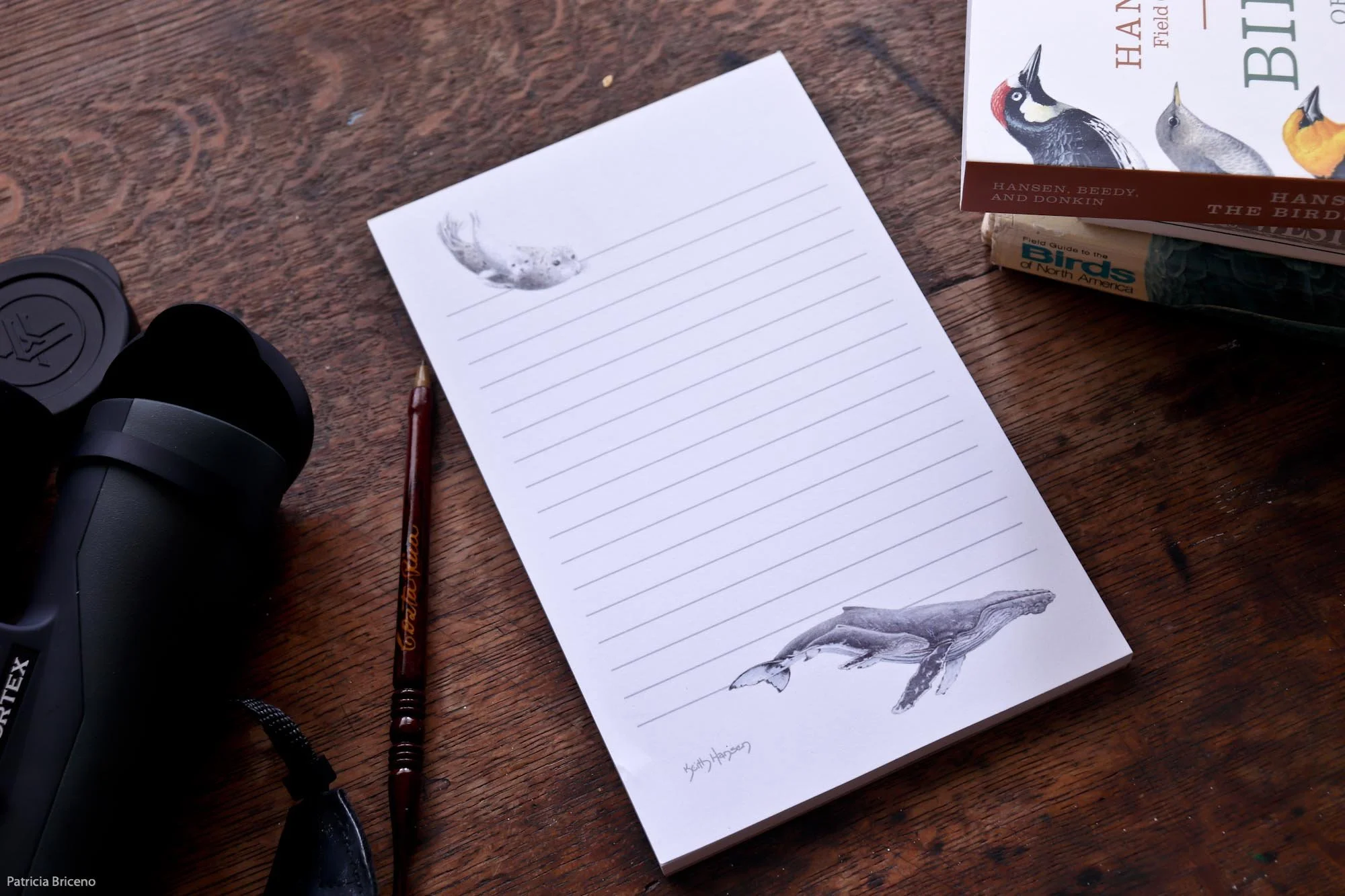 Whale and Seal Notepad-4.jpg