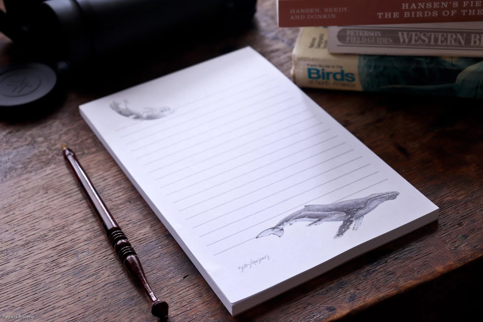 Whale and Seal Notepad-11.jpg