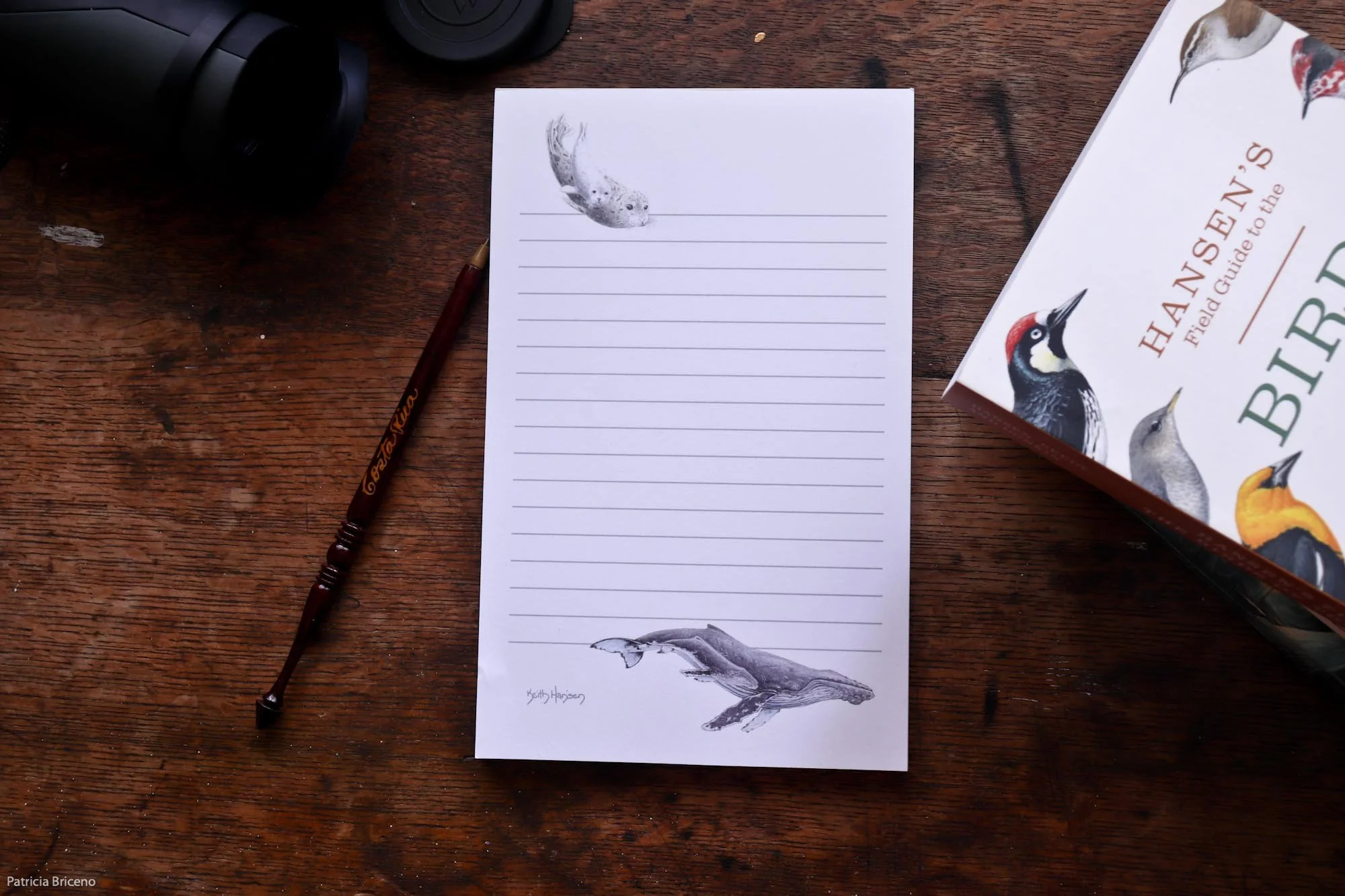 Whale and Seal Notepad-3.jpg