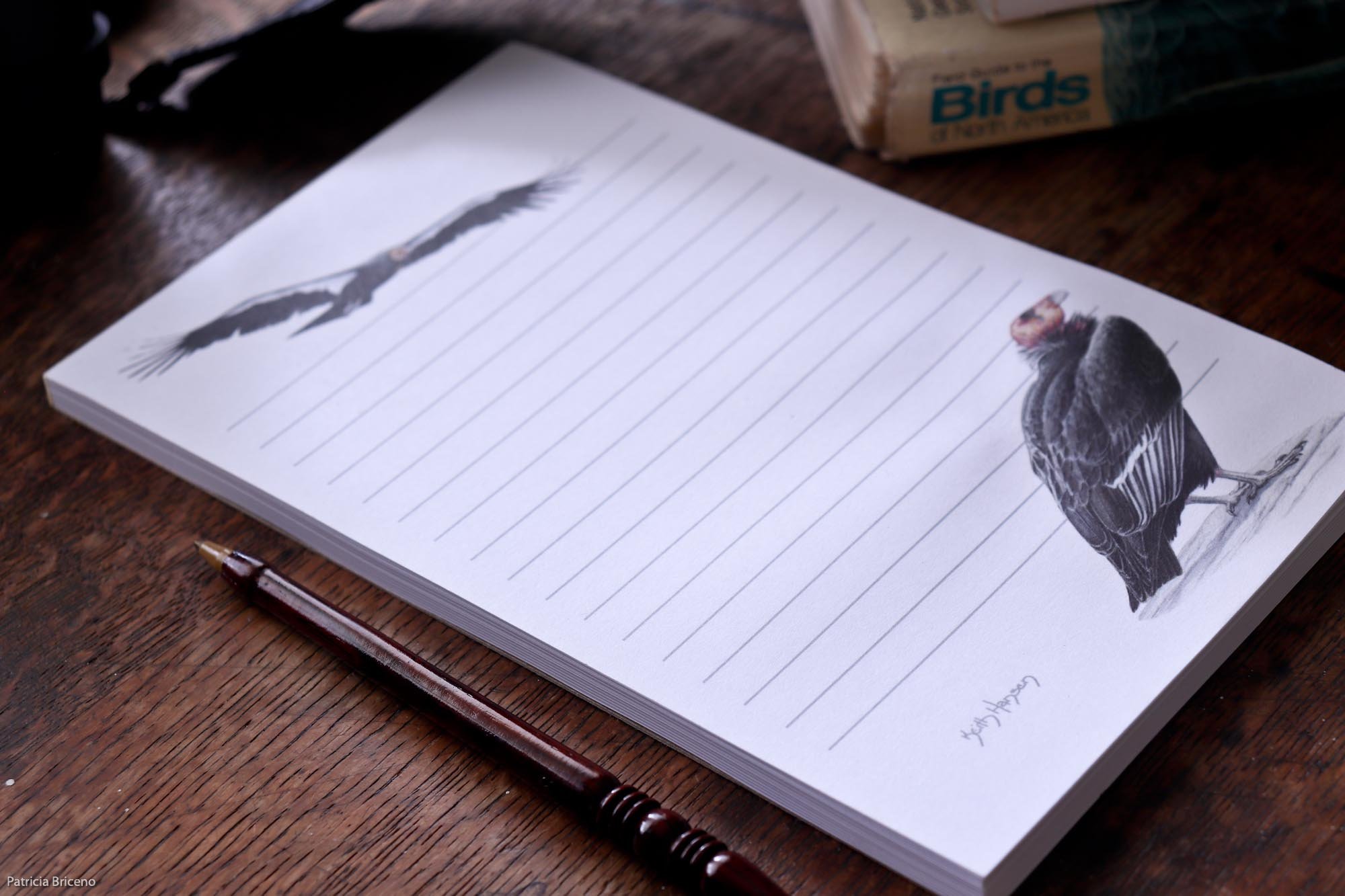 Whale and Seal Notepad-8.jpg
