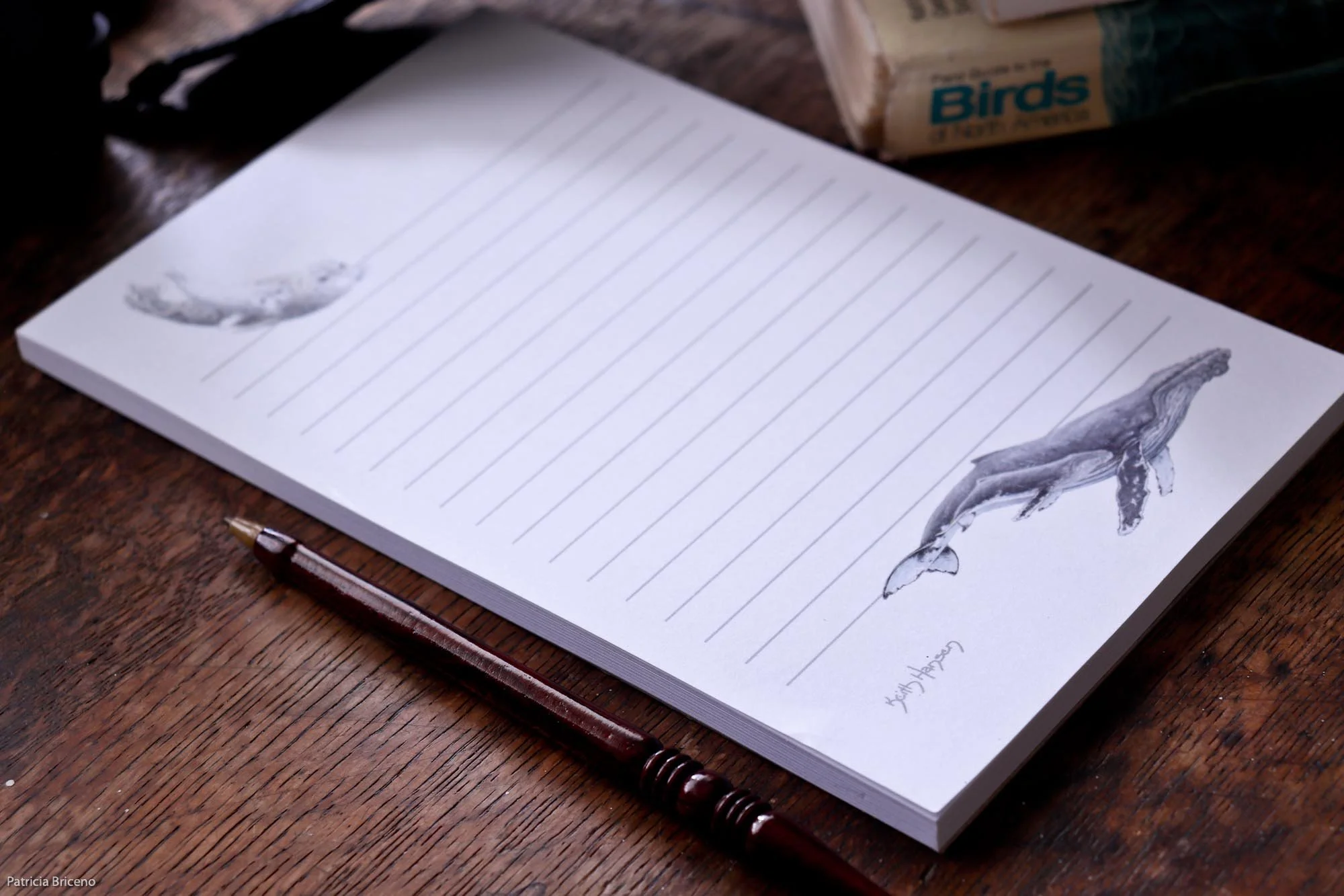 Whale and Seal Notepad-7.jpg