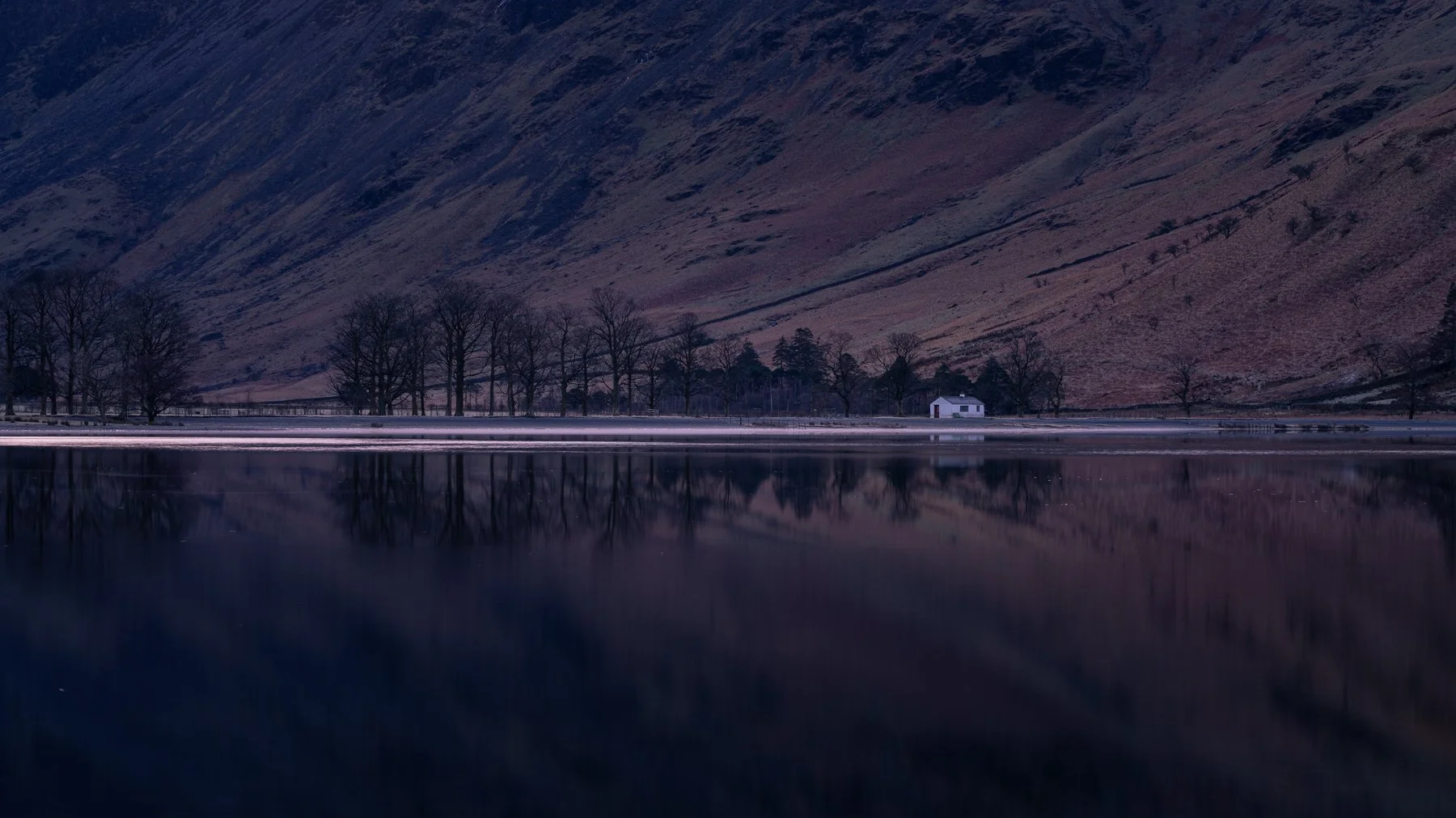 Sentinels pine trees on the shore of Buttermere Lake at dawn