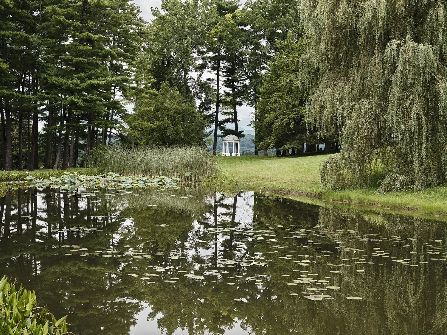 MAGZ_20240807_ADxtenHaveQuinlan_Millerton_Pond_003.jpg