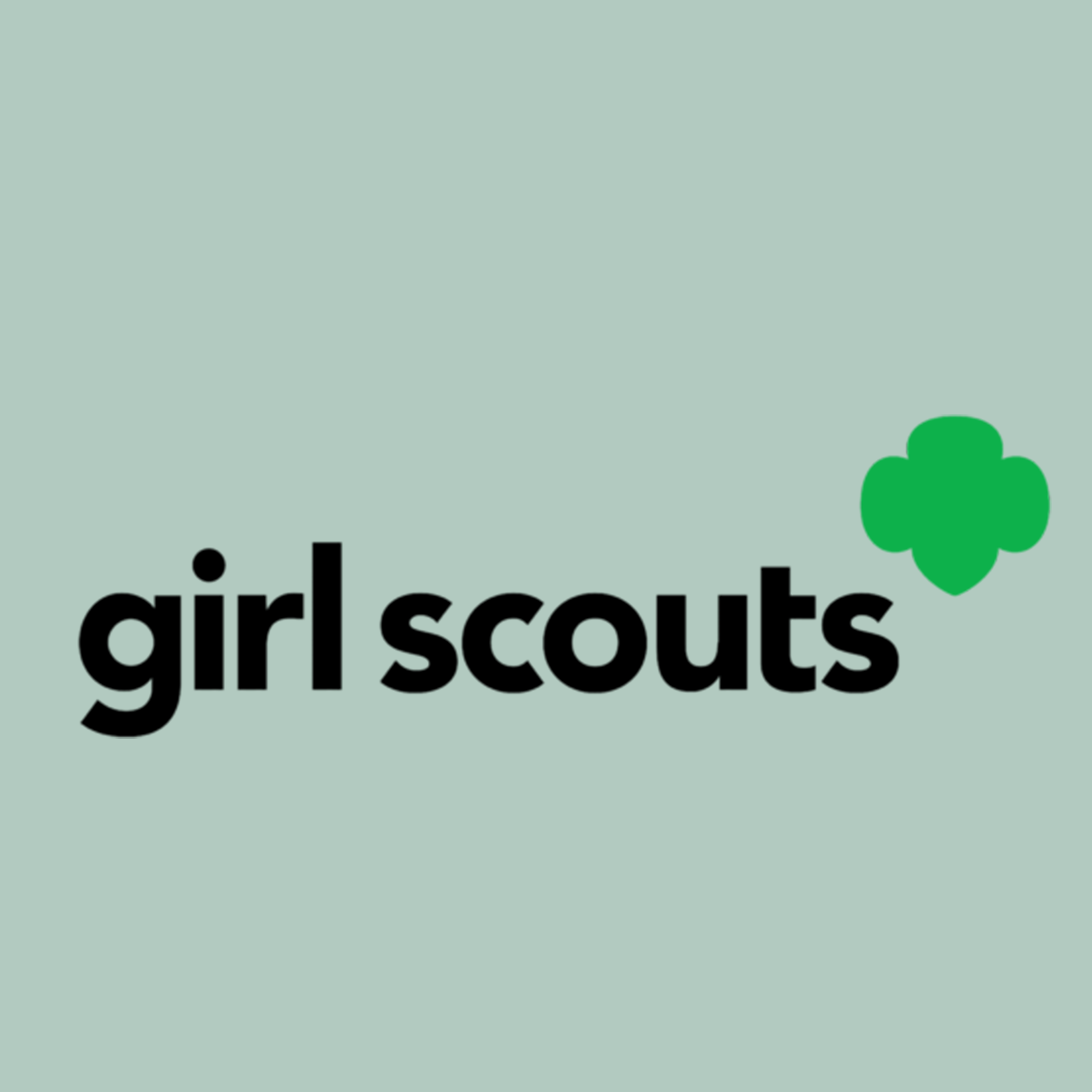 Girl Scouts