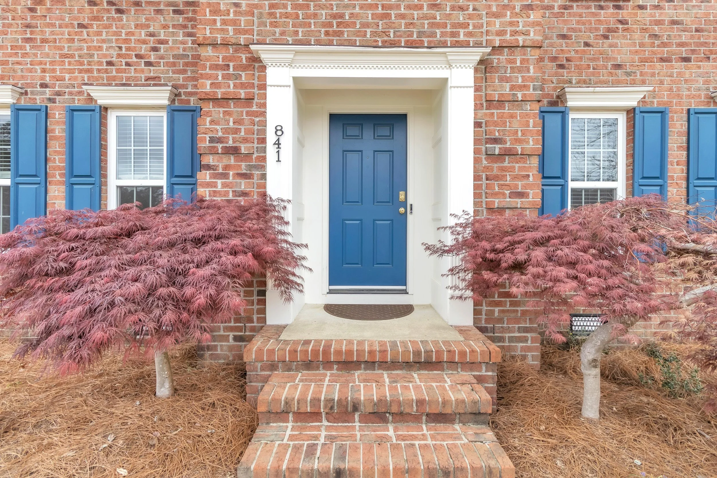 Front door of a brick house with blue shutters and a blue door, flanked by two pink-leaved trees and brick steps leading to the entrance.
