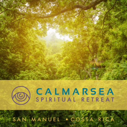 A lush green forest with sunlight filtering through trees, promoting a spiritual retreat in Costa Rica called Calmarsea.