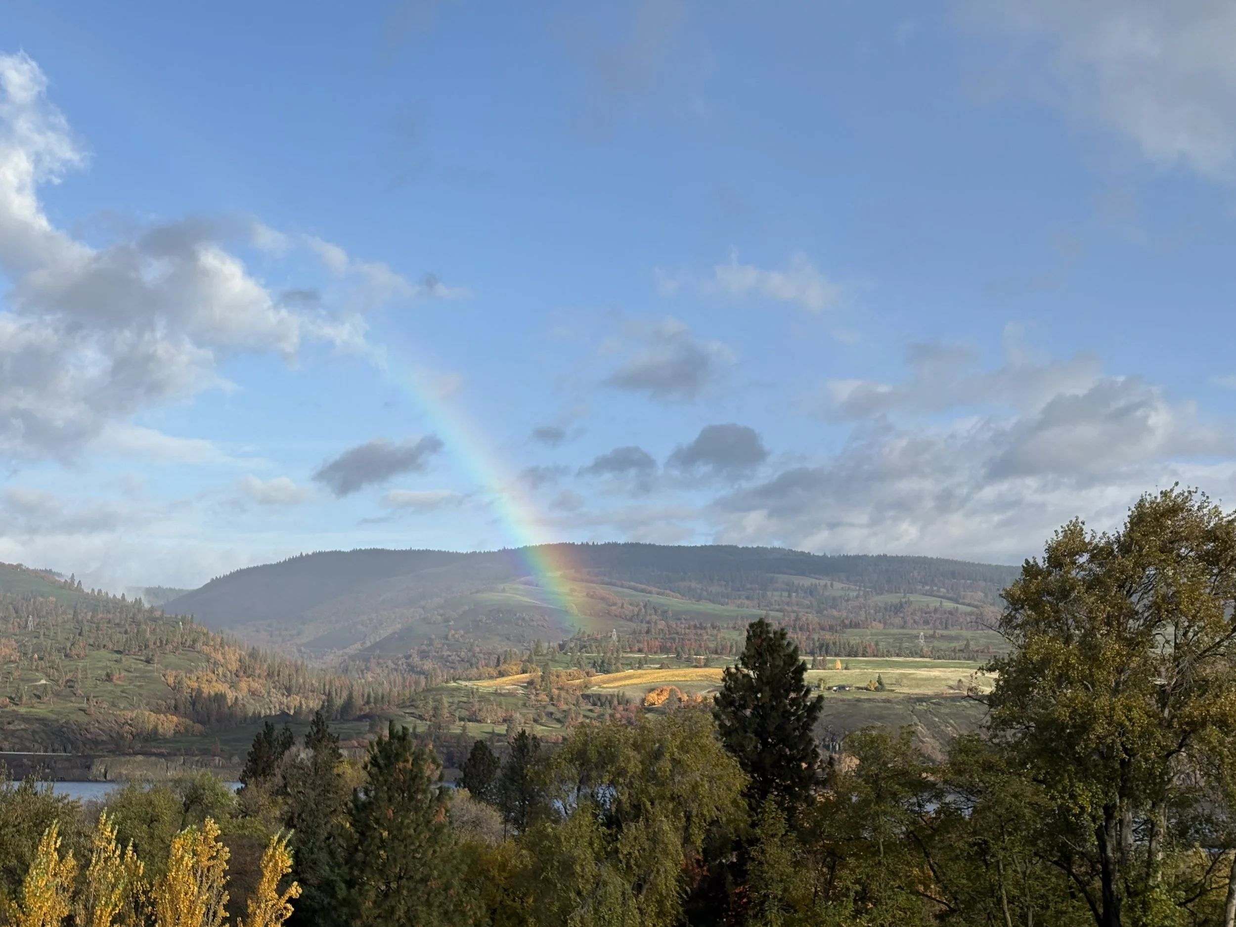 Hurry Down to Hood River