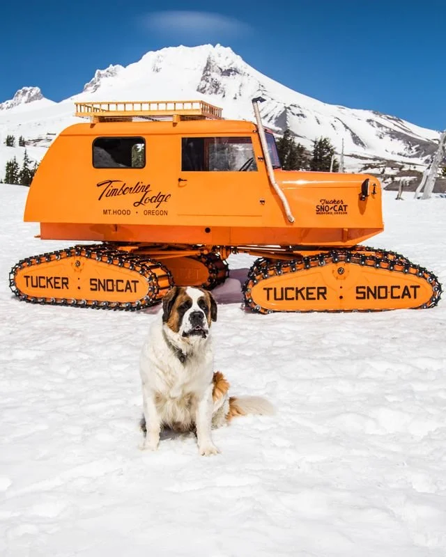 Shoulder Season on Mount Hood