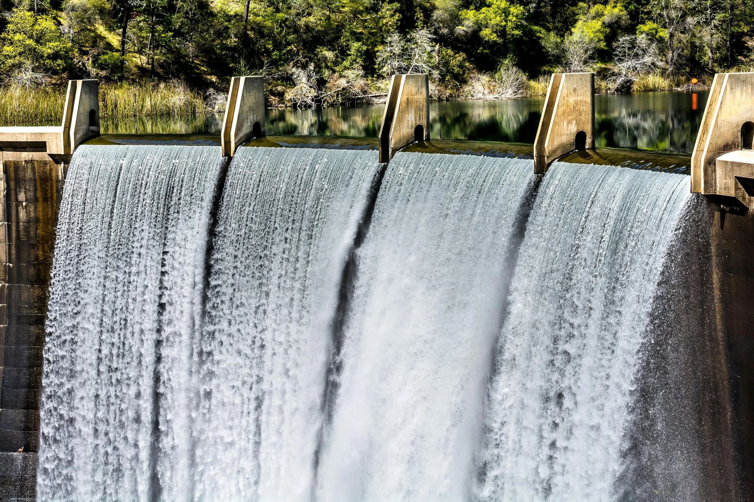 Waterfalls Near Green Trees.jpg