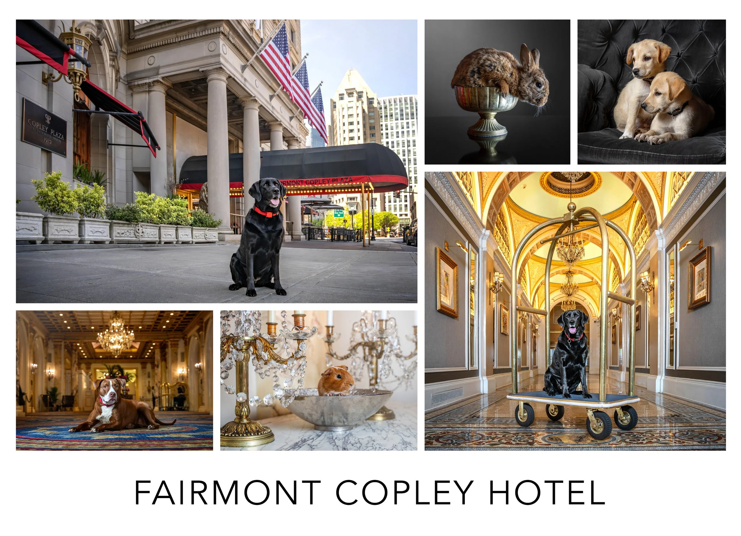 fairmont.jpg